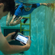 A pair of swimmers using the AquaApp on their smartphones to message under water.